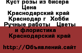 Куст розы из бисера › Цена ­ 1 000 - Краснодарский край, Краснодар г. Хобби. Ручные работы » Цветы и флористика   . Краснодарский край